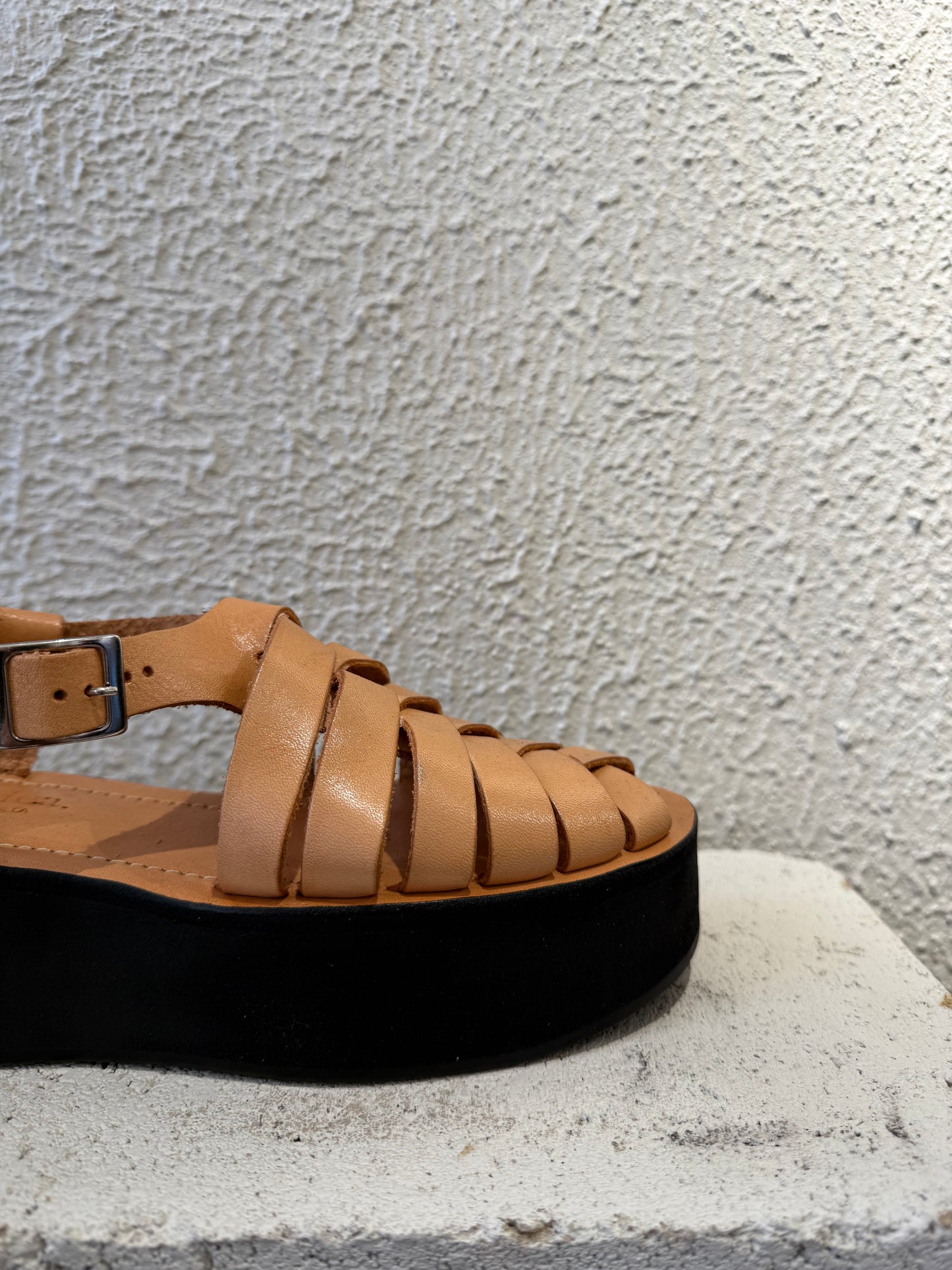 PLATAFORMA GROSS / CAMEL